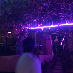 chukaenyioma - figma design contributions on sixelf