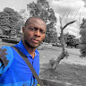 emmyrazy - figma design contributions on sixelf